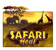 Safari Heat - HASEAGAMING