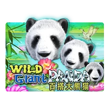Wild Giant Panda - HASEAGAMING