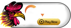 GA28 - HASEAGAMING